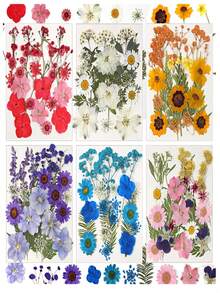 Fiori secchi per resina, fiori e foglie naturali compressi, fiori pressati sottovuoto fai-da-te per epossidica, gioielli, candele, sapone, unghie... - Multicolore - Visualizzare 10