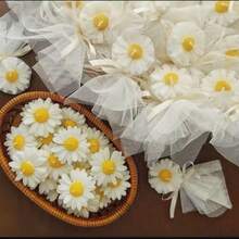 1支装清新雏菊香氛蜡烛，网状蝴蝶结礼盒，多种款式可选，时尚家居装饰，营造氛围 - 彩色 - 查看 5