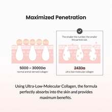 Collagen Silk Peptide Facial Ampoule 30ML - Age-Defying Hydrating Face Serum For All Skin Types, Sensitive Skin , Non-Greasy Daily Formula With Hyaluronic Acid - Essence - View 11