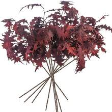 Artificial Fall Coral Leaves Stems 8 PCS, Fall Decorations For Indoor Outdoor Halloween Than1ks 1giving Farmhouse Arrangement Decorations For Front Door Wedding Centerpieces In Autumn - 珊瑚葉(勃根地) - 查看 1