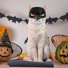 Cat Cosplay Bat Mask,Halloween Decoration Gift For Cat,Funny Cat Costumes Accessories,Reusable Pet Superhero Accessory For Halloween And Photos - Black - View 4