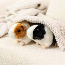 逼真的豚鼠毛绒玩具，趣味办公室和家居装饰，新年派对礼物，儿童生日游戏，收藏品，圣诞节、情人节、复活节和感恩节送给男女朋友的礼物。 - 彩色 - 查看 3