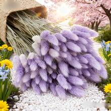 29/58pcs Set Of Dried Flowers Featuring Purple Bunny Tail Pampas, Perfect For Boho-Style Decor In Living Rooms, Gardens, And Outdoor Spaces. Ideal For Arrangements, Wedding Parties, And Festive Gifts Spring Valentine's Day Mother's Day Wedding Decor - Purple - View 3