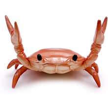 Cute Weightlifting Crab Pen Holder Funny Desk Organizer - Brown - View 8