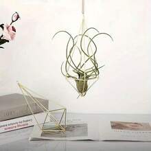 几何金属花架 - 现代花园吊篮，空气凤梨盆架，墙面装饰 - 艺术装饰几何金属吊篮 - 轻巧波西米亚风敞口设计，适合空气凤梨和多肉植物，不对称造型，经久耐用，室内/室外装饰架篮，户外吊盆，现代工艺品，室内植物装饰 - 金色 - 查看 7