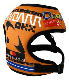 Outdoor Water Purifier