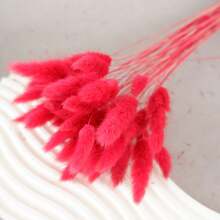 29/58pcs Set Of Dried Flowers Featuring Purple Bunny Tail Pampas, Perfect For Boho-Style Decor In Living Rooms, Gardens, And Outdoor Spaces. Ideal For Arrangements, Wedding Parties, And Festive Gifts Spring Valentine's Day Mother's Day Wedding Decor - Red - View 3