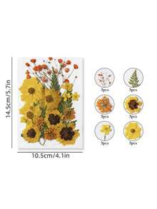 Fiori secchi per resina, fiori e foglie naturali compressi, fiori pressati sottovuoto fai-da-te per epossidica, gioielli, candele, sapone, unghie... - Multicolore - Visualizzare 11