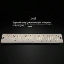 SELINER 24-Hole Harmonica For Beginners, Students, Professional Instrument, C Key, Holiday Gift - Silver - View 4