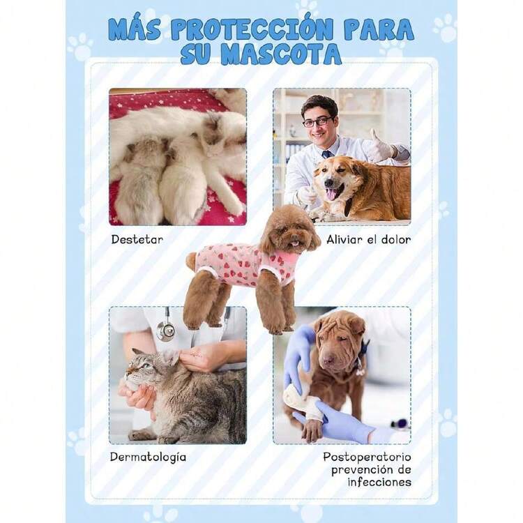 Traje De Recuperación Para Perros Pequeños, Transpirable Y Elástico, Protege Heridas Abdominales Y Enfermedades De La Piel,38968435 - Marrón Chocolate - Añade 5