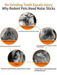 50克 100克 200克 苹果枝宠物磨牙玩具，15厘米柳枝，宠物咀嚼玩具，干柳枝咀嚼棒，适用于仓鼠、兔子和豚鼠，兔子用品，情人节礼物，生日礼物。 - 彩色 - 查看 8