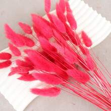 29/58pcs Set Of Dried Flowers Featuring Purple Bunny Tail Pampas, Perfect For Boho-Style Decor In Living Rooms, Gardens, And Outdoor Spaces. Ideal For Arrangements, Wedding Parties, And Festive Gifts Spring Valentine's Day Mother's Day Wedding Decor - Red - View 4