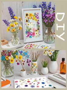 Fiori secchi per resina, fiori e foglie naturali compressi, fiori pressati sottovuoto fai-da-te per epossidica, gioielli, candele, sapone, unghie... - Multicolore - Visualizzare 5