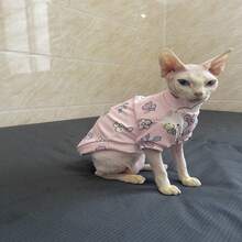 无毛斯芬克斯猫德文卷毛猫幼崽宠物猫可爱兔子软印花 - 粉色 - 查看 8