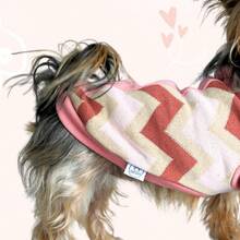 High-Visibility Pants