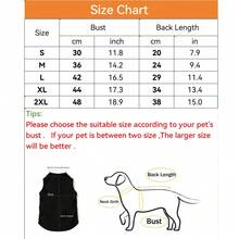 Striped Pattern Pet Shirt For Daily Wear With A Bow Tie Decoration In Spring And Summer - Blue - View 2