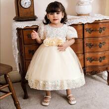 Pink Kids Clothes 2116 Big Bow 3D Flower Girls Frock Tulle Sequins Ball Gown Pageant Children Elegant Princess Prom Host Formal Evening Party Cocktail Dress 0-4Y - 香檳酒 - 查看 11