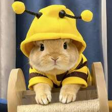 زي نحلة جديد وجميل مناسب للكلاب والقطط الصغيرة، موضة لعيد الهالوين - أصفر - مشاهدة 11