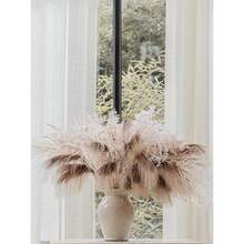 11 PCS 28 Inch Artificial Fall Pampas Decor Stems, Fall Decorations Table Indoor Outdoor Halloween Than1ks 1giving Farmhouse Arrangement Decorations For Front Door Wedding Centerpieces In Autumn - 爸爸的羽毛 - 查看 1