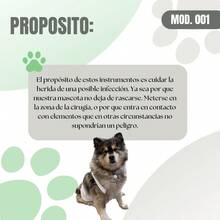 TendenciaFaja Postoperatoria Para Perros Y Gatos Tallas ChicasCalidad premium - XCH - Ver 3