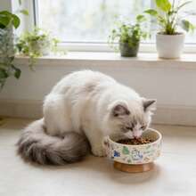 Ceramic Raised Pet Bowl For Cats And Dogs, Neck-Protecting Anti-Spill Graffiti Design Pet Supplies