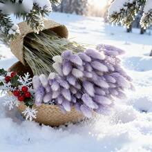 29/58pcs Set Of Dried Flowers Featuring Purple Bunny Tail Pampas, Perfect For Boho-Style Decor In Living Rooms, Gardens, And Outdoor Spaces. Ideal For Arrangements, Wedding Parties, And Festive Gifts Spring Valentine's Day Mother's Day Wedding Decor - Purple - View 7