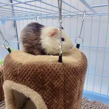 1pc Tree Stump Hanging Hammock ,Hamster Nest, Rabbit, Guinea Pig Nest, Sugar Glider, Squirrel Warm Nest, Hammock, Guinea Pig Nest, Small Animal House. Hamster Hideaways And Cage Accessories; Soft, Washable Log-Style Items. Hammocks For Hedgehogs, Ferrets And Rabbits, As Well As Small Animal Houses And Habitats. - Multicolor - View 4