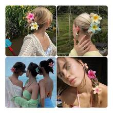 TendenciaPinzas Para El Pelo Con Forma De Flor De Plumeria Hawaiana P ColoreadoCalidad premium - 1 - Ver 9