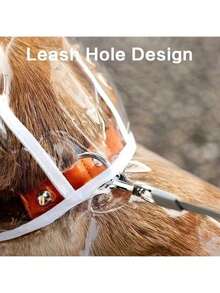 Transparent Dog Raincoat - Quick-Drying PVC Material, All-Round Waterproof Protection, Button Design Suitable For Small And Medium Dogs (Teddy, Bichon Frise, Poodle) - Wet Walking Transparent Rain Gear, Elegant Pet Accessory - Multicolor - View 5