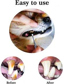 Stainless Steel Dual-Headed Dental Scraper & Scaler Tool For Dogs, Designed For Removing Tartar, Suitable For Cleaning Dog & Cat Teeth - Multicolor - View 4