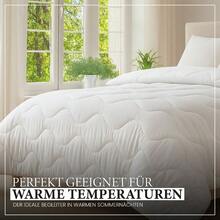 Couverture d'été légère – Couverture matelassée douce et moelleuse pour les personnes allergiques, lavable à 60°C || 135x200 || 155x220 || 200x200 || 220x200 || 240x220 || 135 x 200 || 155 x 220 || 200 x 200 || 220 x 200 || 240 x 220 || 135 x 200 cm | 155 x 220 cm | 200 x 200 cm | 220 x 200 cm | 240 x 220 cm - 240 x 220 cm - Übersicht 7