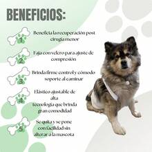 TendenciaFaja Postoperatoria Para Perros Y Gatos Tallas ChicasCalidad premium - XCH - Ver 2