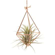 几何金属花架 - 现代花园吊篮，空气凤梨盆架，墙面装饰 - 艺术装饰几何金属吊篮 - 轻巧波西米亚风敞口设计，适合空气凤梨和多肉植物，不对称造型，经久耐用，室内/室外装饰架篮，户外吊盆，现代工艺品，室内植物装饰 - 金色 - 查看 11