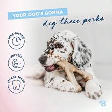 Benebone Puppy Paquete de 2 Hueso de Goma/Wishbone Bacon Tiny - como en la foto - Ver 4
