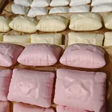 1pc Cute Cat Shaped Squishy Pillow, Super Soft Wet Feeling High-Quality Stress Relief Toy, Suitable For Relaxation And As Birthday Gift - Multicolor - View 1