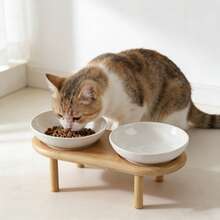 1pc Ceramic Cat/Dog Bowl With Raised Stand, Large Capacity Anti-Spill Pet Feeding Bowl