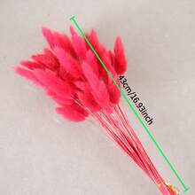 29/58pcs Set Of Dried Flowers Featuring Purple Bunny Tail Pampas, Perfect For Boho-Style Decor In Living Rooms, Gardens, And Outdoor Spaces. Ideal For Arrangements, Wedding Parties, And Festive Gifts Spring Valentine's Day Mother's Day Wedding Decor - Red - View 4