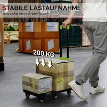 Portable Shopping Carts