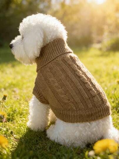 Höst/vinter stickad tröja för husdjur, orange kabelstickade höghalsade hundkläder, varma vinterkläder för små/medelstora katter och hundar