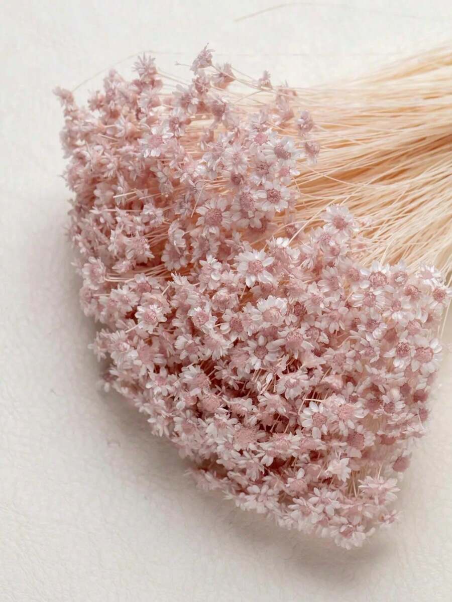30/60/100/200Pcs,Stems Natural Dry Flowers, Brazilian Small Star Daisy Decorative Dried Flowers, Mini Daisy Chamomile Bouquet For Wedding Floral Arrangements Home Decorations Valentine's Day Gifts - Cherry Blossom Pink - View 1