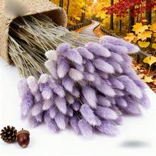 29/58pcs Set Of Dried Flowers Featuring Purple Bunny Tail Pampas, Perfect For Boho-Style Decor In Living Rooms, Gardens, And Outdoor Spaces. Ideal For Arrangements, Wedding Parties, And Festive Gifts Spring Valentine's Day Mother's Day Wedding Decor - Purple - View 6
