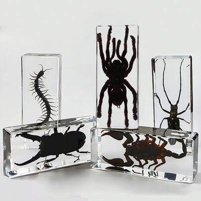 1 pieza Ciempiés gigante, espécimen de insecto real Araña gigante de 8 patas, Langosta, Escarabajo ciervo, Cangrejo, Mantis, Escarabajo negro, Mantis religiosa, Modelo de artesanía de resina de escorpión gigante, Colección de preservación permanente, Modelo de artesanía de animal venenoso de ciempiés gigante de alta transparencia, Modelo de artesanía de planta y insecto de ámbar transparente de gusano de mil patas, Artesanía decorativa, regalo, decoración del hogar, espécimen de insecto educativo y muestra (La artesanía de cristal es frágil, tenga cuidado con los golpes)