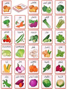 Bilingual Flashcards For Animals/Fruits/Vegetables/Body Parts, Arabic Vocabulary Learning Cards, English Animal Vocabulary Cards, Fruit & Vegetable Recognition Cards, School Learning Aids, Arabic-English Body Part Learning Cards, Suitable As Back-To-School Gifts, Early Learning Gifts - Color - View 9