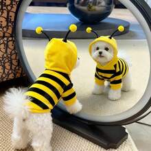 زي نحلة جديد وجميل مناسب للكلاب والقطط الصغيرة، موضة لعيد الهالوين - أصفر - مشاهدة 12