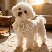 1 pezzo Bavaglino per animali domestici con bordo in pizzo fatto a mano/Papillon finto in perle - Stile principessa - Lunghezza regolabile - Collare per gatti Bavaglino per cani/Sciarpa per animali domestici/Bavaglino per sbavature per cani/Accessorio per animali domestici - Nuova collezione primavera - nero - Visualizzare 9