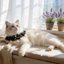 1 pezzo Bavaglino per animali domestici con bordo in pizzo fatto a mano/Papillon finto in perle - Stile principessa - Lunghezza regolabile - Collare per gatti Bavaglino per cani/Sciarpa per animali domestici/Bavaglino per sbavature per cani/Accessorio per animali domestici - Nuova collezione primavera - nero - Visualizzare 4