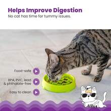 Catstages Kitty Slow Feeder Bowl For Cats & Small Dogs, Puzzle Dish For Fast Eaters, For Wet Or Dry Food, Helps Slow Eating & Aid Digestion, Non-Slip, Made Without BPA, 3/4 Cup, 5-Inch, Green - 500ml - Xem 5