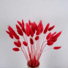 29/58pcs Set Of Dried Flowers Featuring Purple Bunny Tail Pampas, Perfect For Boho-Style Decor In Living Rooms, Gardens, And Outdoor Spaces. Ideal For Arrangements, Wedding Parties, And Festive Gifts Spring Valentine's Day Mother's Day Wedding Decor - Red - View 7