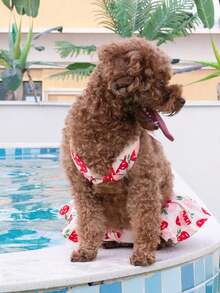 一套狗狗比基尼泳衣，夏季幼犬泳装，猫咪沙滩装 - 彩色 - 查看 3