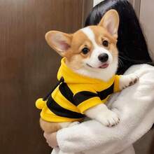 زي نحلة جديد وجميل مناسب للكلاب والقطط الصغيرة، موضة لعيد الهالوين - أصفر - مشاهدة 8